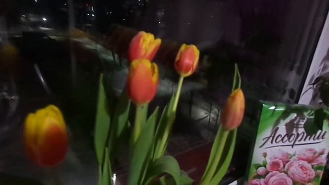 Как в мороз купить орхидею и донести до дома. Купили полумини орхидею. смотреть онлайн