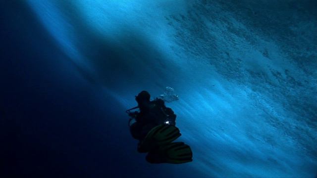 Встречи на краю мира (2007) смотреть онлайн