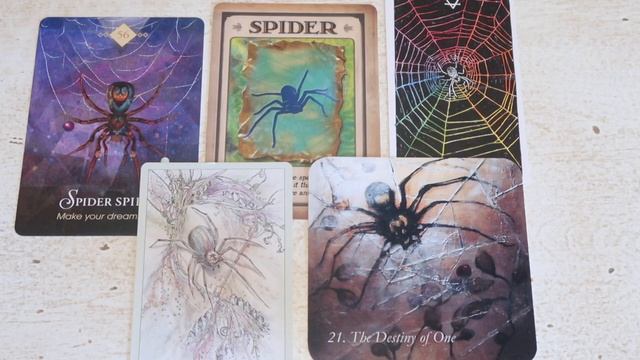 Animal Spirit Decks & First Impressions of "The Spirit Animal Oracle" смотреть онлайн