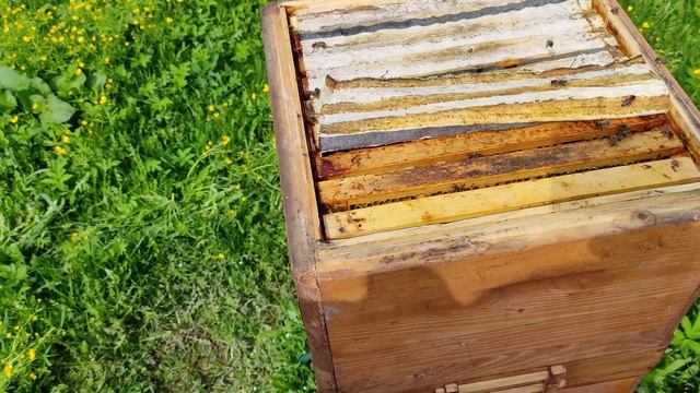 Улей "Удав".Универсальная диафрагма в работе. смотреть онлайн