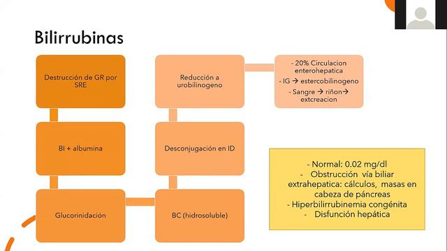 Uroanálisis en Pediatría смотреть онлайн