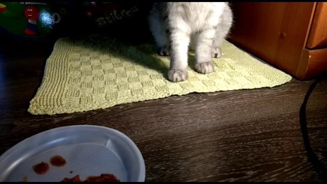 Gourmet-гурме еда для котиков/Буся тестирует корма/Филе с курицей vs Аля карт рецепт от шефповара смотреть онлайн