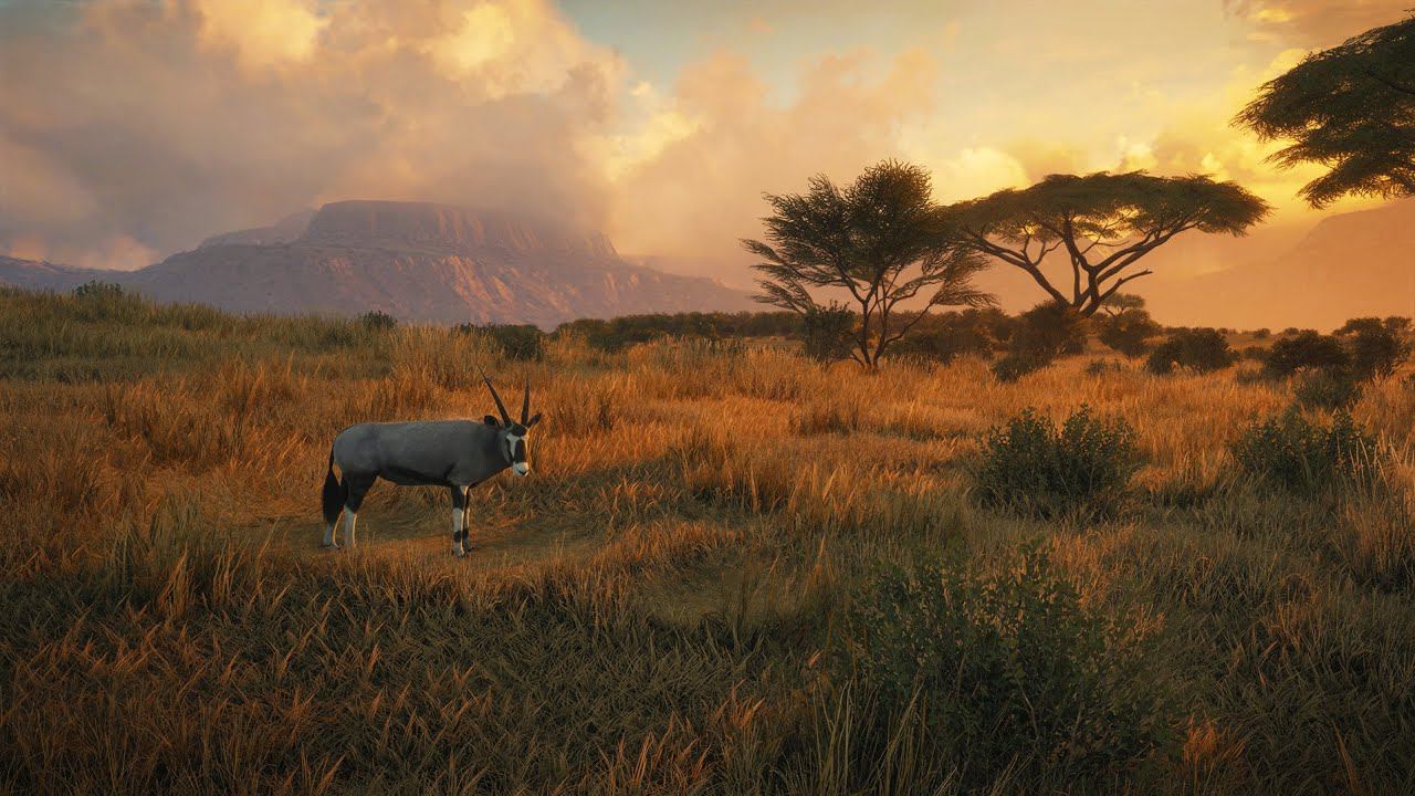 theHunter Call of the Wild : Африканский беспредел смотреть онлайн