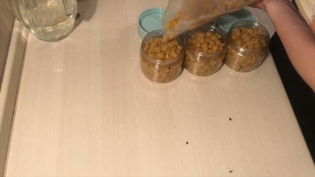 УБИРАЮСЬ ДОМА | ДЕЗИНФЕКЦИЯ КВАРТИРЫ | КАРДИО ТРЕНИРОВКА смотреть онлайн