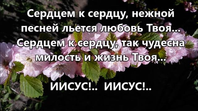 Поведи меня... смотреть онлайн