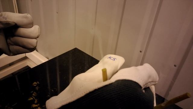 Жидкий азот VS одуванчик смотреть онлайн