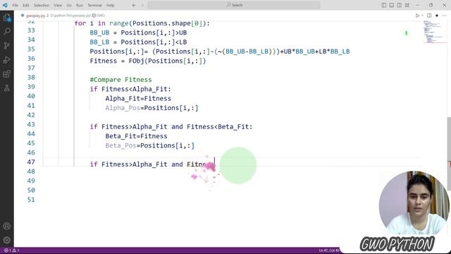 GWO Python Code || Grey Wolf Optimizer in Python || ~xRay Pixy смотреть онлайн