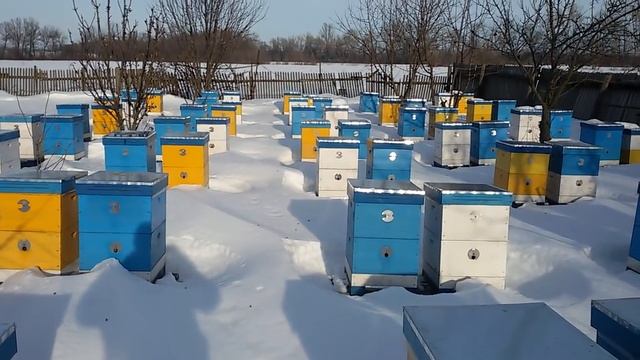 В какой цвет красить улья? смотреть онлайн