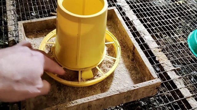 Ящик для бункерной кормушки, чтоб не просыпался корм. смотреть онлайн