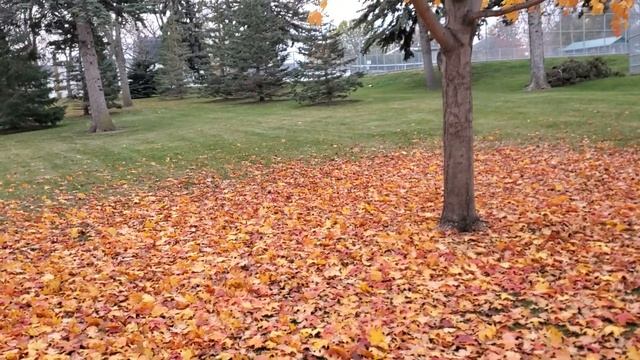 Какая красотища !!! смотреть онлайн