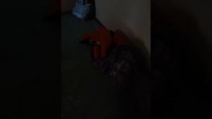 подожгли бомжа в подъезде