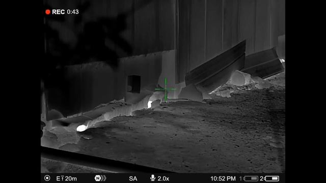 RAT HUNTING▪︎100 KILLS ▪︎SHOOTING смотреть онлайн