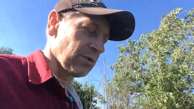 Питание и армия ч 4 смотреть онлайн