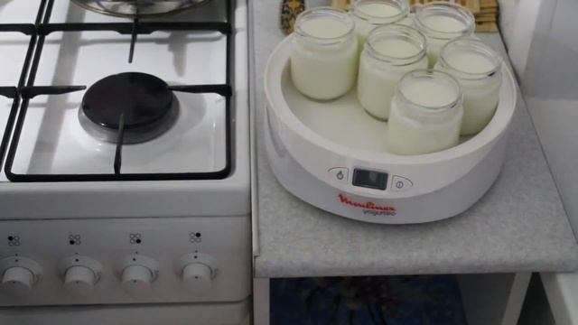 Готовим йогурт в йогуртнице Moulinex YG 230 (231)