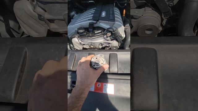 2007 audi q7 v6 3.6 water pump replacement. смотреть онлайн