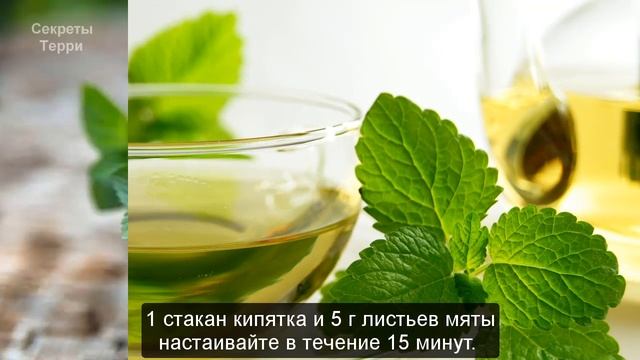 Печень можно вылечить травами - проверенные рецепты смотреть онлайн