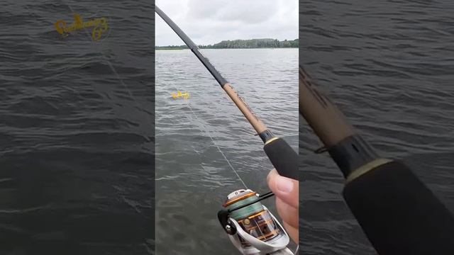 СОМ НА ДЖИГ часть первая смотреть онлайн