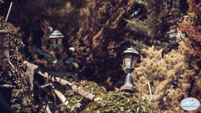 ツОстров черепах. #ГреческийОстров #Закинф. смотреть онлайн