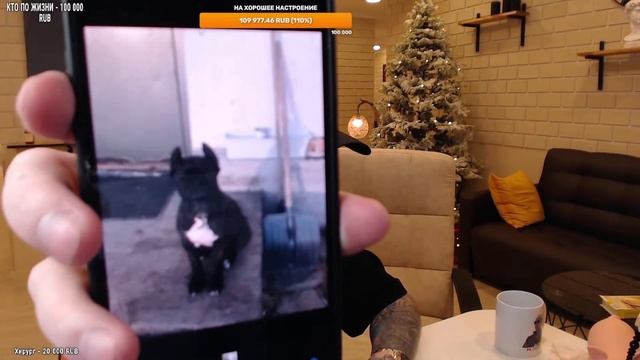 ВИТАЛИЙ РЕУТОВ ПОКАЗАЛ СВОЮ НОВУЮ СОБАКУ КАНЕ КОРСО ! КПЖ НАРЕЗКИ ! смотреть онлайн