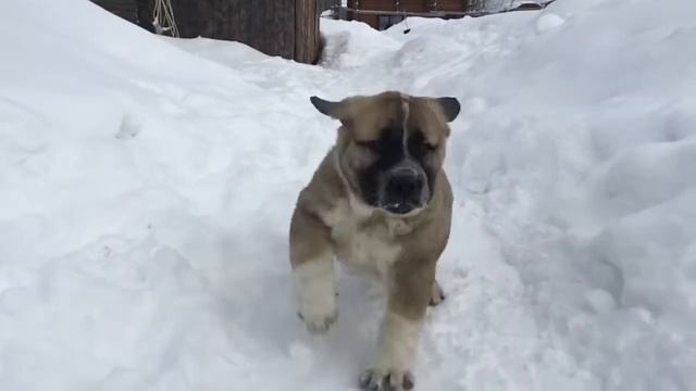 4 апреля 2022 г.