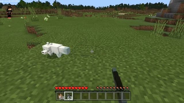 Minecraft : How To Spawn Foxes смотреть онлайн