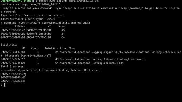 Dotnet Dump Analyze