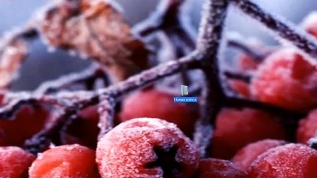 Нельзя сделать папку с именем con! смотреть онлайн