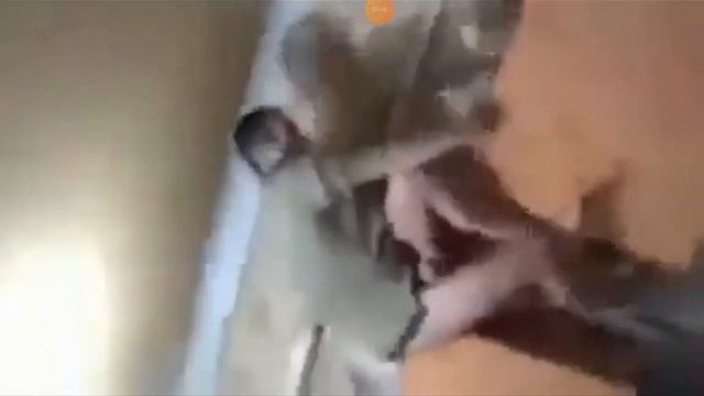 @kibersity9565 kiberSity не дивлячись привет всем твоим родным делать дальше мы должны смотреть онлайн