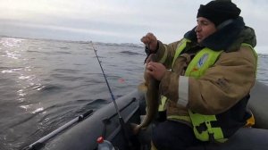 ОТЛИЧНО ПОРЫБАЧИЛИ. ТЕРИБЕРКА. Морская рыбалка. «TERIBERKA. Sea fishing.»