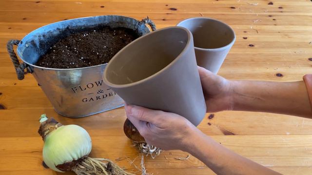 Planting Amaryllis Bulbs (with Niki Jabbour) смотреть онлайн
