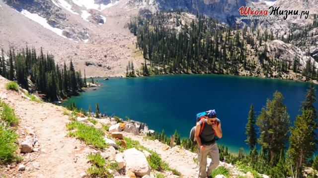 Как Устроиться на Ночь в Лесу?