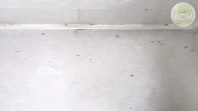 Тараканы в квартире, откуда берутся и как избавиться от них надолго. смотреть онлайн