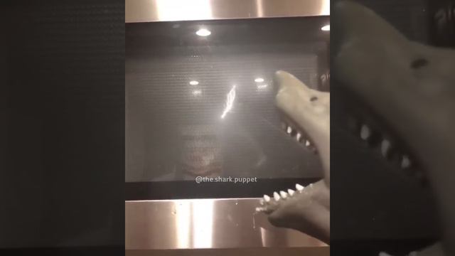 Shark puppet makes some Asian cuisine смотреть онлайн
