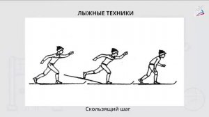 Имитационные упражнения во время разминки на лыжах, техника скользящего шага, виды лыжных ходов