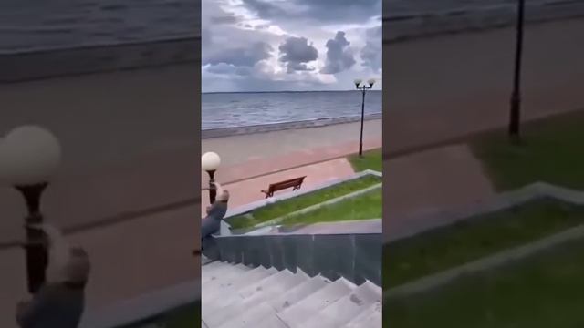 ДЕТСТВО ЗАИГРАЛО