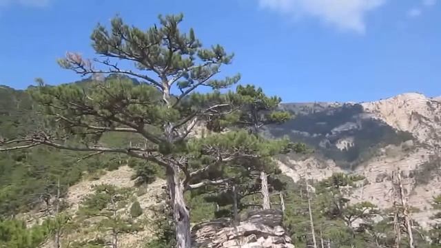 Горный массив Ай-Петри. Панорама Ялты. смотреть онлайн