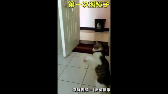 Чуть не описалась.../декабрь/ смотреть онлайн