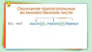 8. Русский язык 4 класс - Склонение имён существительных и прилагательных во множественном чисел