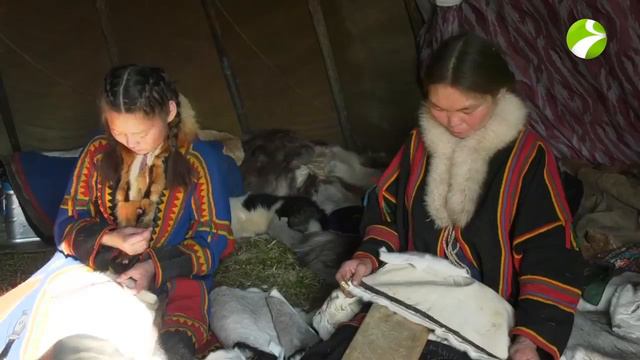 Ненецкие женщины смотреть онлайн