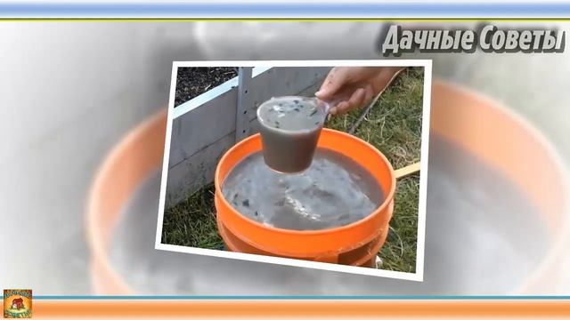 Как ускорить созревание томатов. Самые лучшие способы доступные абсолютно всем. Дачные хитрости смотреть онлайн