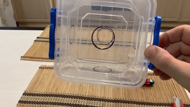 Самодельная игрушка для кота, если ваш котик скучает и обдирает мебель. Лайфхак