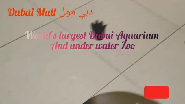 The Dubai Mall Part1 دبي مول--The Souq--Dubai Dino--DubaiAquarium And Underwater Zoo--Stores
