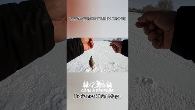 Зимняя рыбалка 2024 Март Рыбалка на водохранилище смотреть онлайн