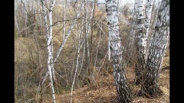 Кирпичная дача у леса и ручья смотреть онлайн