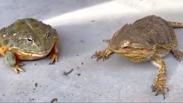 Hello Don't Over Do It Are You Bullying Me смотреть онлайн
