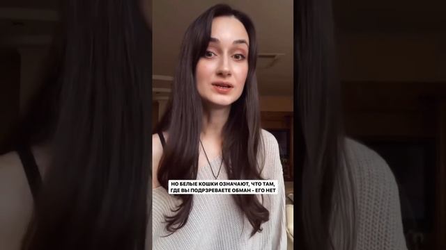 К чему снятся кошки смотреть онлайн