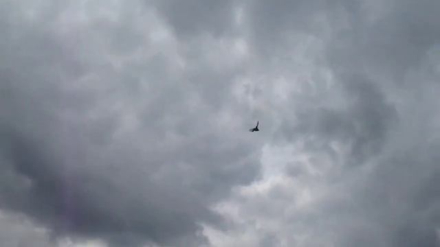 Курские турманы 25 смотреть онлайн