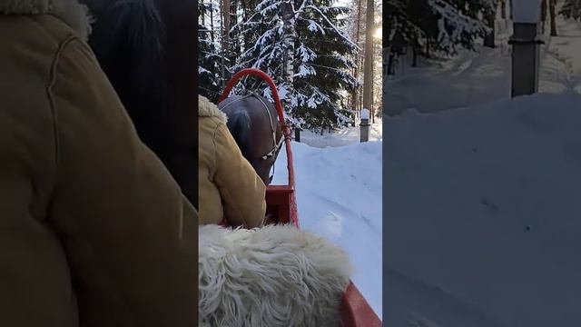13 февраля 2024 г. смотреть онлайн