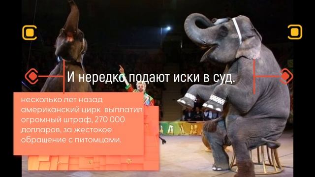 интересные факты о цирке серия 1 от ртк продакшн смотреть онлайн