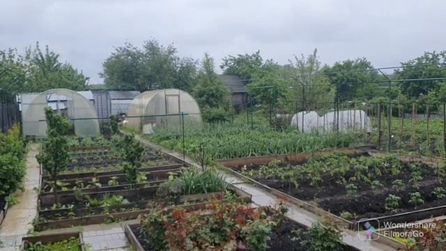 97. Видеонаблюдение на даче. Подстриг забор..mp4 смотреть онлайн